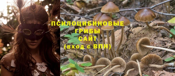 прущая мука Бородино