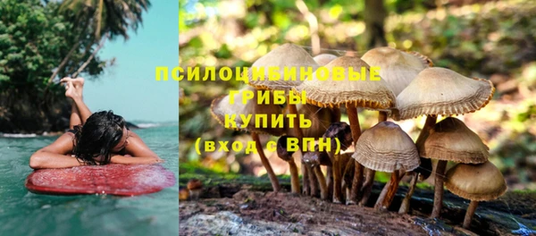 прущая мука Бородино